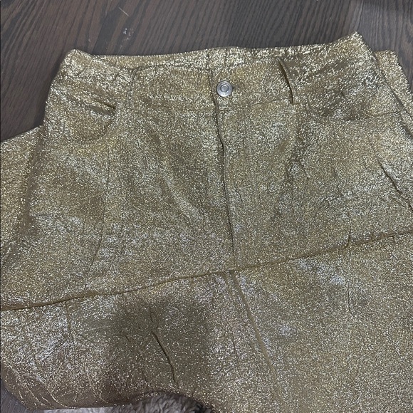 LAST CHANCE Zara Gold Textured Pants - Picture 9 of 12